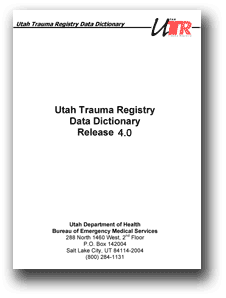 Picture of the Utah Trauma Data Dictionary